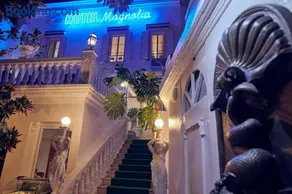 Le Magnolia - Image 2