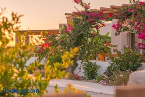 Milis Houses - Image 1