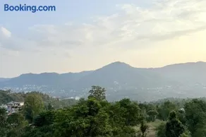 solan greens - Image 3