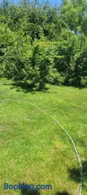 Jenga Garden Sanctuary Minutes to Bath And BRS - Free Gated Parking - Image 3