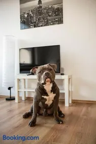 AVR Apartment HOF 8 - Image 1