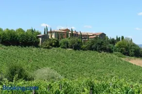 Giaggiolo - Image 3