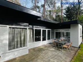 Bonte Specht - Image 5