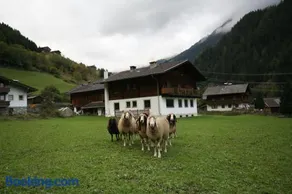 Ferienhaus Ruggenthaler - Image 3