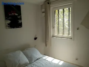 Single storey 40m² bordering pine forest and spa - Image 4