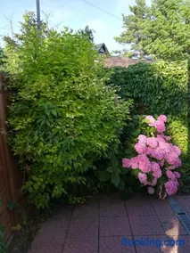Willa Patio - Image 3