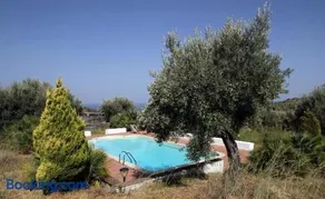 La Gabbianella E Il Gatto - Image 1