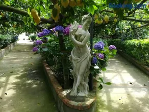 Il Viale - Image 3