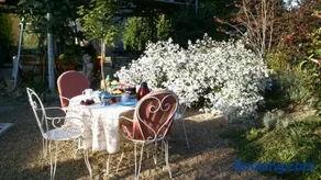 Manoir la Trivalle - Image 2