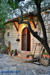 Fattoria La Tana della Volpe - Image 4
