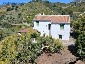 El Olivarillo - Image 5