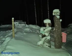 Lomakoivulehto - Image 3