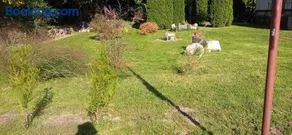 Domek Letniskowy w Olszewie - Image 2