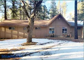 The Chalet for 20 Great for groups - Image 1