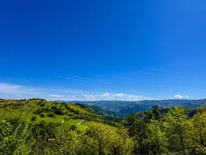 I Cancelli -Mugello Park Family Village - Image 4