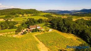 B&B Il Poggio di Gavi - Image 1