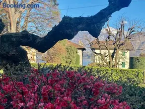 Villa Magnolia - Lake Como - Image 3