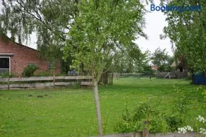 B&B Kelpiebrink - Image 3