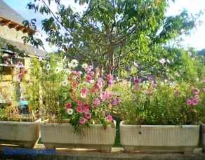 La Casa De Luis - Image 4