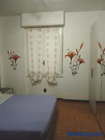 AndEli DUE - Image 3