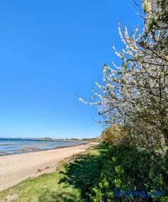 Spatzenhecke - Image 4