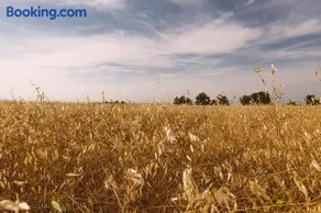 Borgo Le Colline Luxury Agriturismo in Tuscany - Image 3