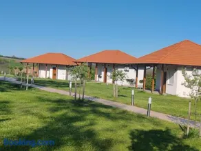 Vinogradi Zmajevački - Image 2