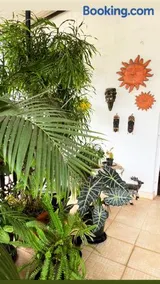 Hotel Paulino - Image 2