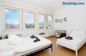 Spacious Zurich Apt Huge Terrace & Views - Image 1