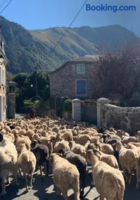 La Suite Unique - Le jardin sur les Pyrénées- vue panoramique montagne -jardin clôturé privé de 100m2-Parking-Linge de lit et serviettes compris- - Image 3
