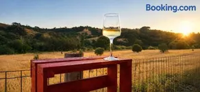 Monte Novo da Vinha - Natureza, Privacidade e Piscina Exclusiva - Image 3