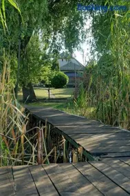 Kis Tisza fishing guest house - Image 3