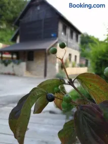 House Marijan - Image 2