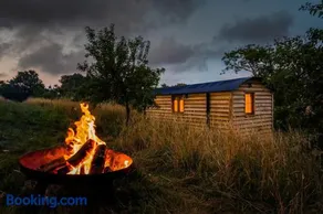 Woodpecker Hill - Shepherds Hut Alfriston - Image 5
