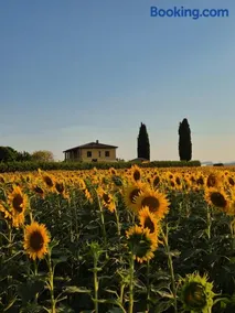 Villa Lumina Appartamenti - Image 2