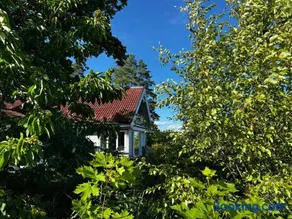 Son view - Image 1