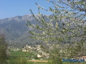Boccaor - Image 1