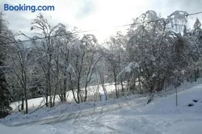 Almchalet - Image 5