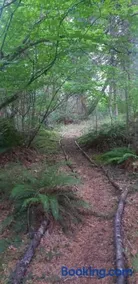 Blissful Solitude Cottage - Image 2