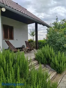 Apartma Puša - Image 3