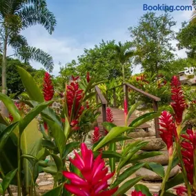 4 Pozos Tayrona - Image 2
