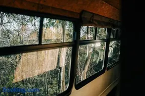 Bus & Hot Tub Secluded Eco Forest Retreat - Image 3