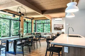 Chalet Van Haven Nature Lake Hot Tub Fire Pit Game Room - Image 1