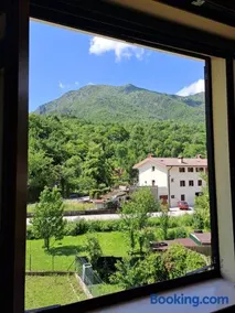 Le Camelie, Natura e Relax - Image 1