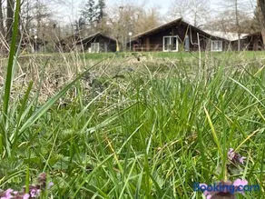 CAMPING DE LA CHALARONNE - Image 1