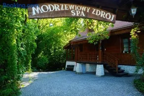 Modrzewiowy Zdrój - Image 1