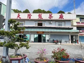 天隆民宿Tian Long Tea Farm HomeStay - Image 2
