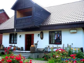 Dor de rădăcini - Image 1