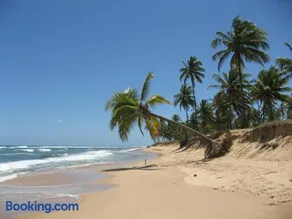 Paribahia - Image 1