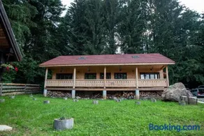 Forest Resort - Image 2